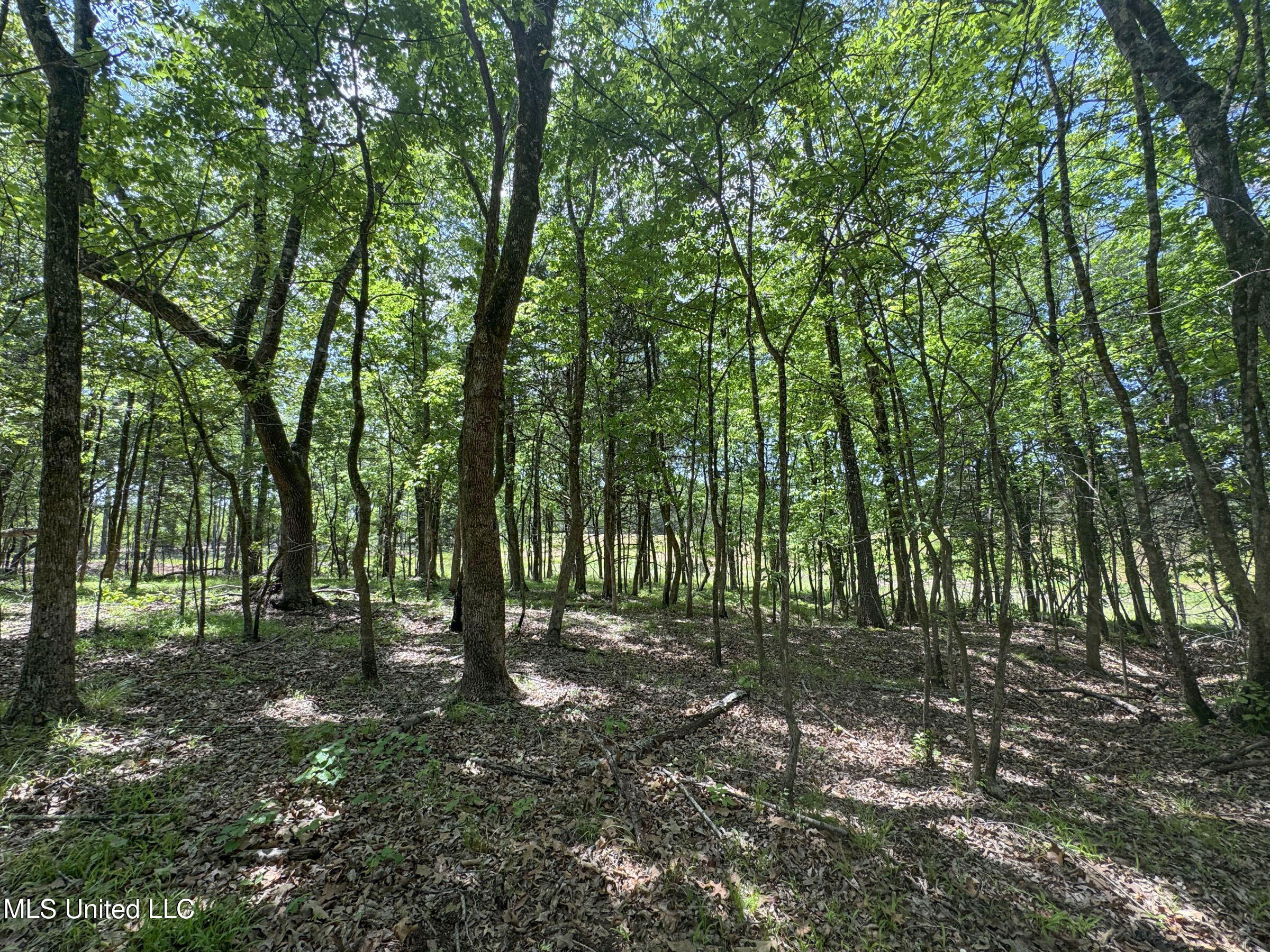 107 County Road Oxford, MS 38655 - Photo 68 of 82 5wr74a13