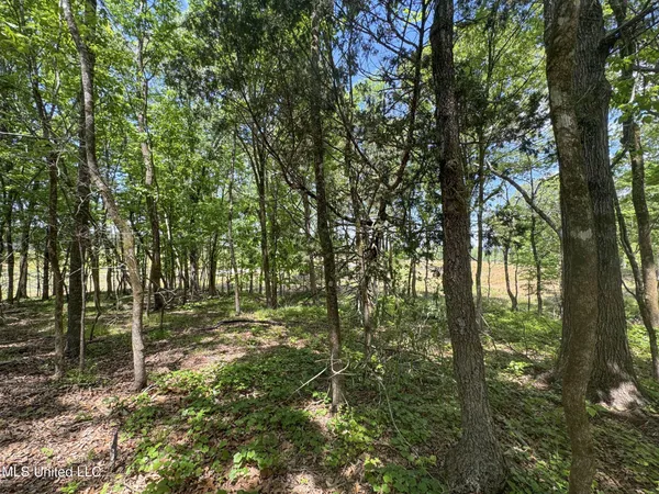 $795,000 | 107 County Road, Oxford, MS 38655