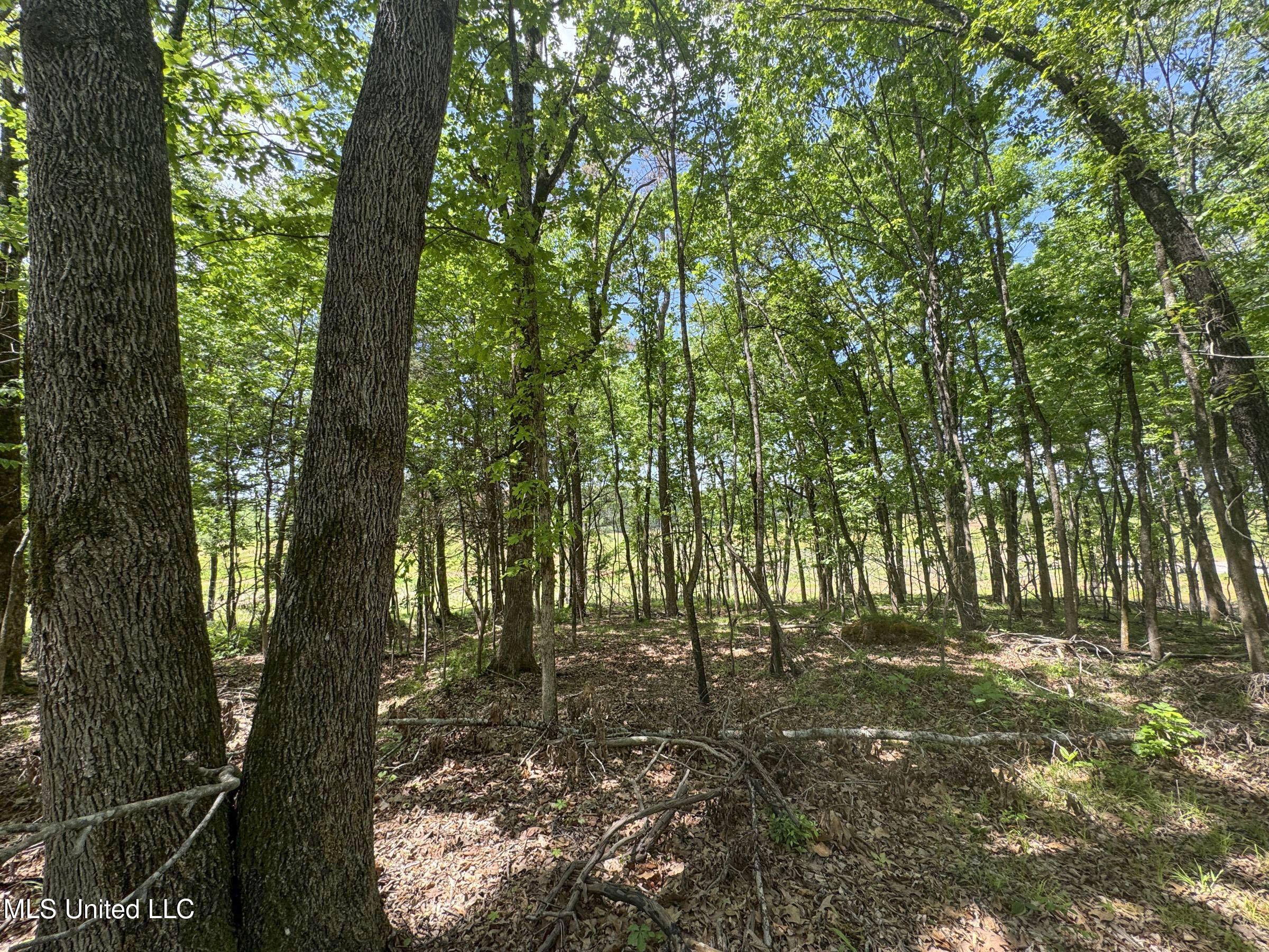 107 County Road Oxford, MS 38655 - Photo 69 of 82 5wr74a14