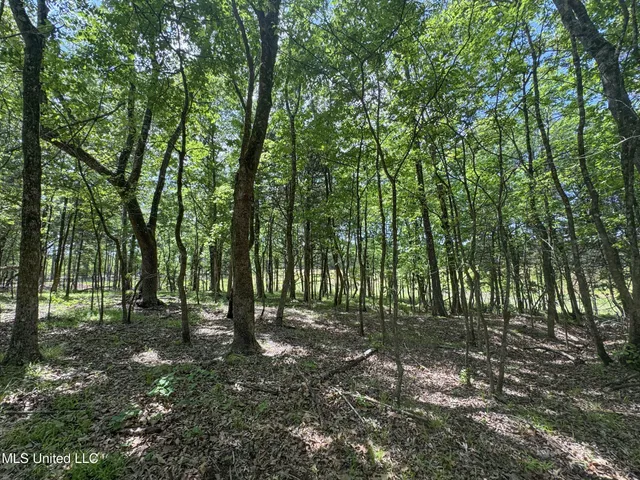 $795,000 | 107 County Road, Oxford, MS 38655