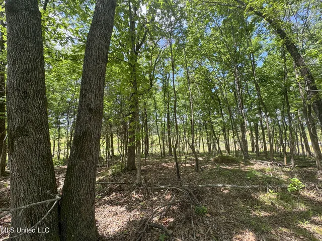 $795,000 | 107 County Road, Oxford, MS 38655