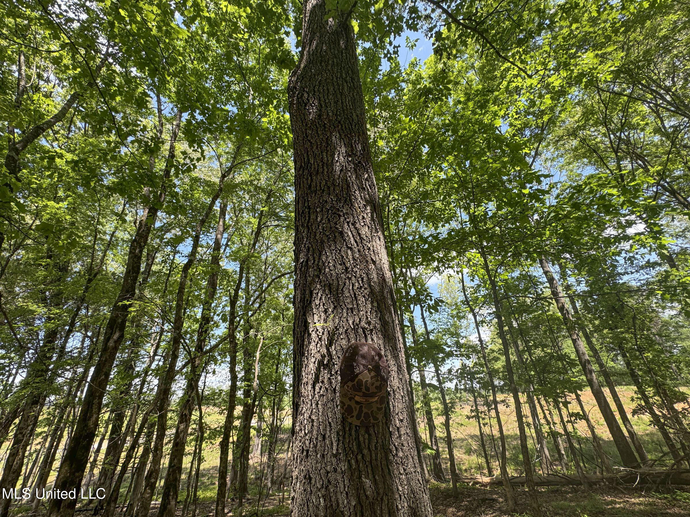107 County Road Oxford, MS 38655 - Photo 70 of 82 5wr74a16