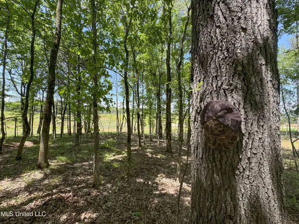 $795,000 | 107 County Road, Oxford, MS 38655