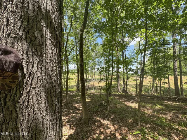 $795,000 | 107 County Road, Oxford, MS 38655