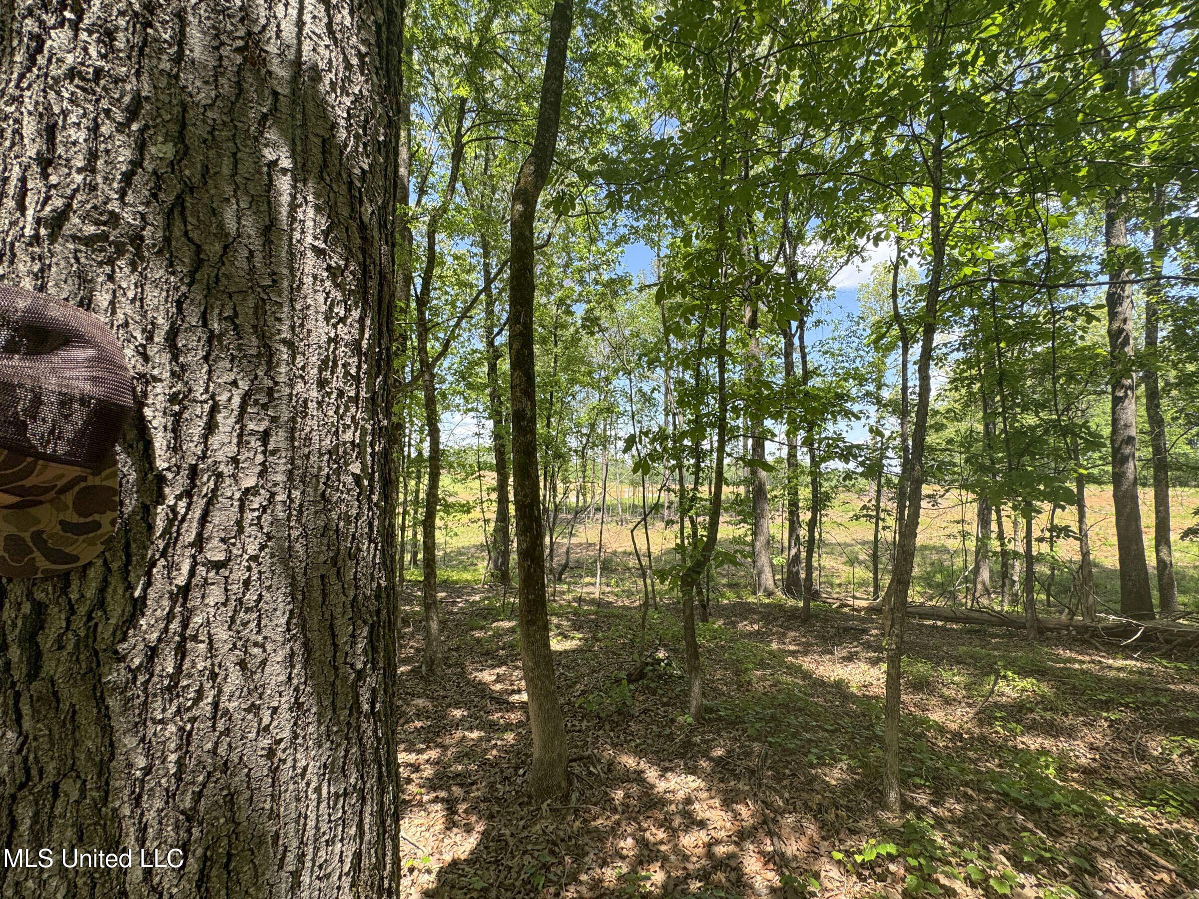 107 County Road Oxford, MS 38655 - Photo 72 of 82 5wr74a19