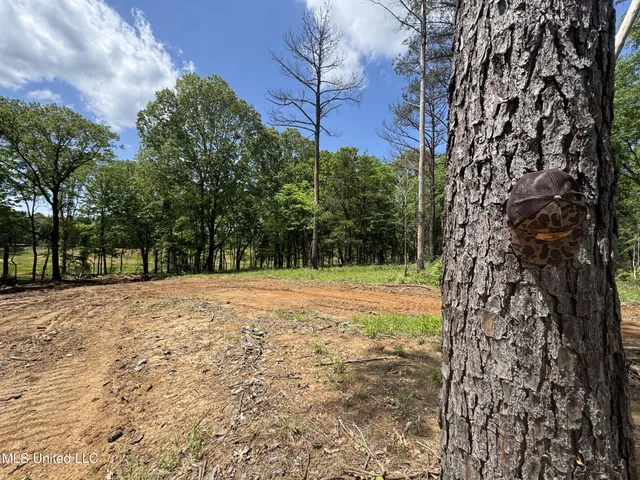 $795,000 | 107 County Road, Oxford, MS 38655