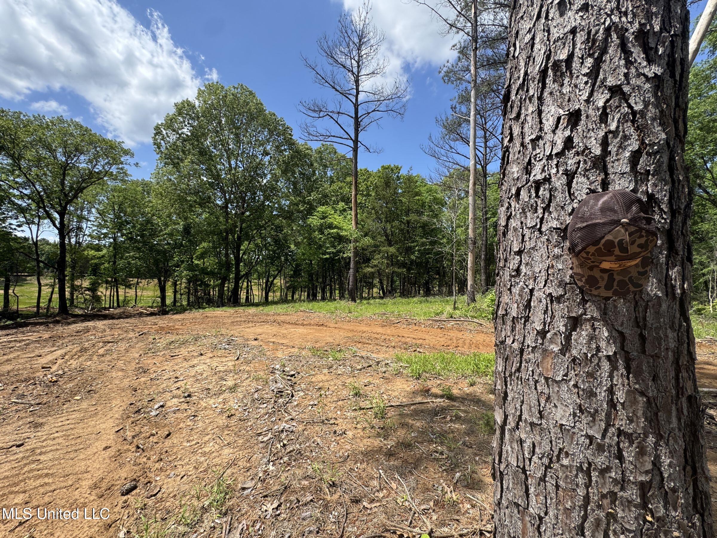 107 County Road Oxford, MS 38655 - Photo 74 of 83 5wr74a22