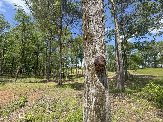 $795,000 | 107 County Road, Oxford, MS 38655