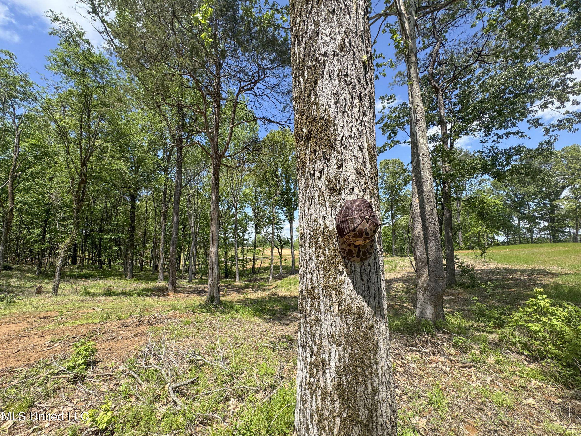 107 County Road Oxford, MS 38655 - Photo 75 of 83 5wr74a23
