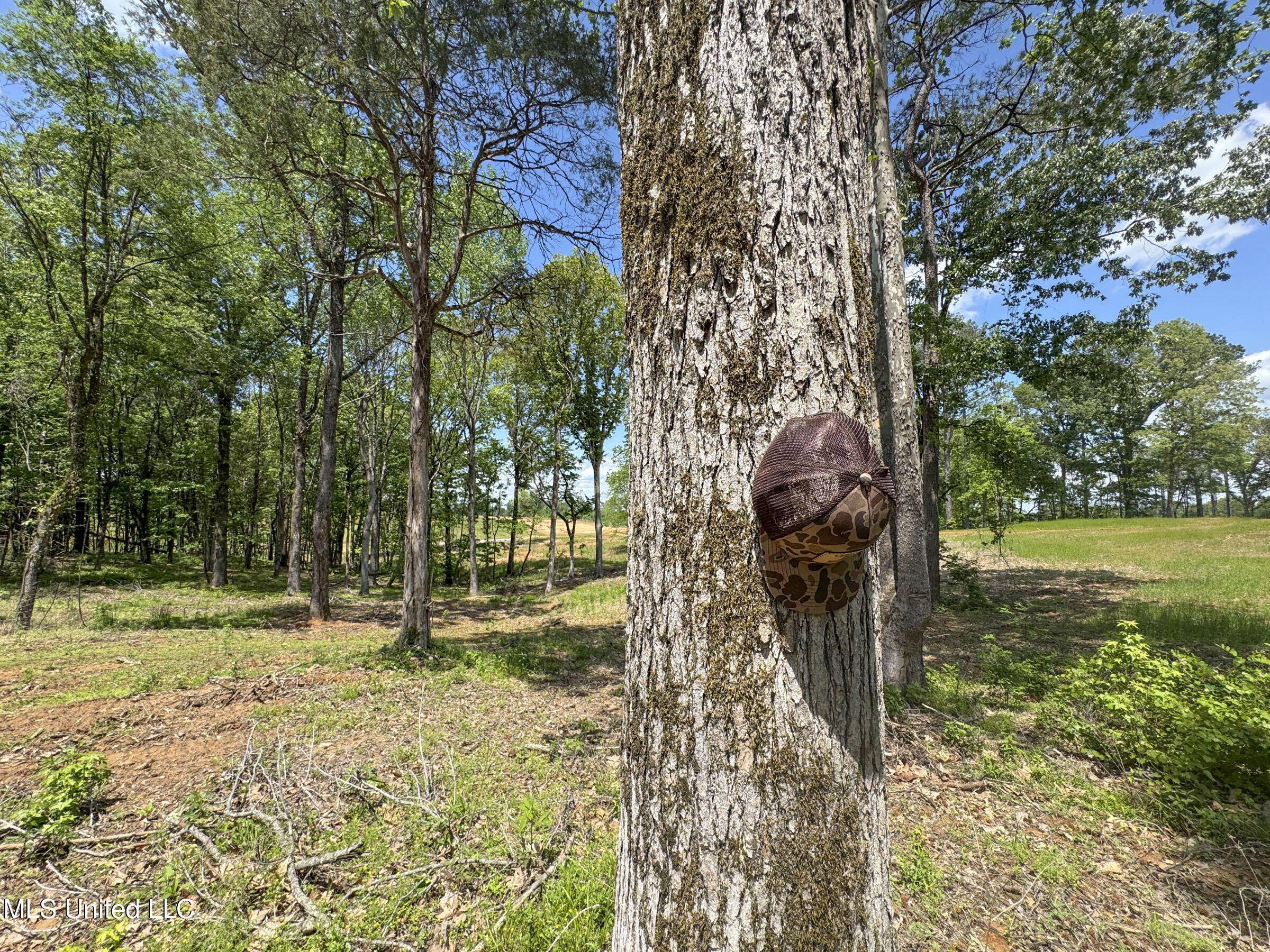 107 County Road Oxford, MS 38655 - Photo 75 of 82 5wr74a24