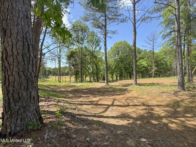 $795,000 | 107 County Road, Oxford, MS 38655