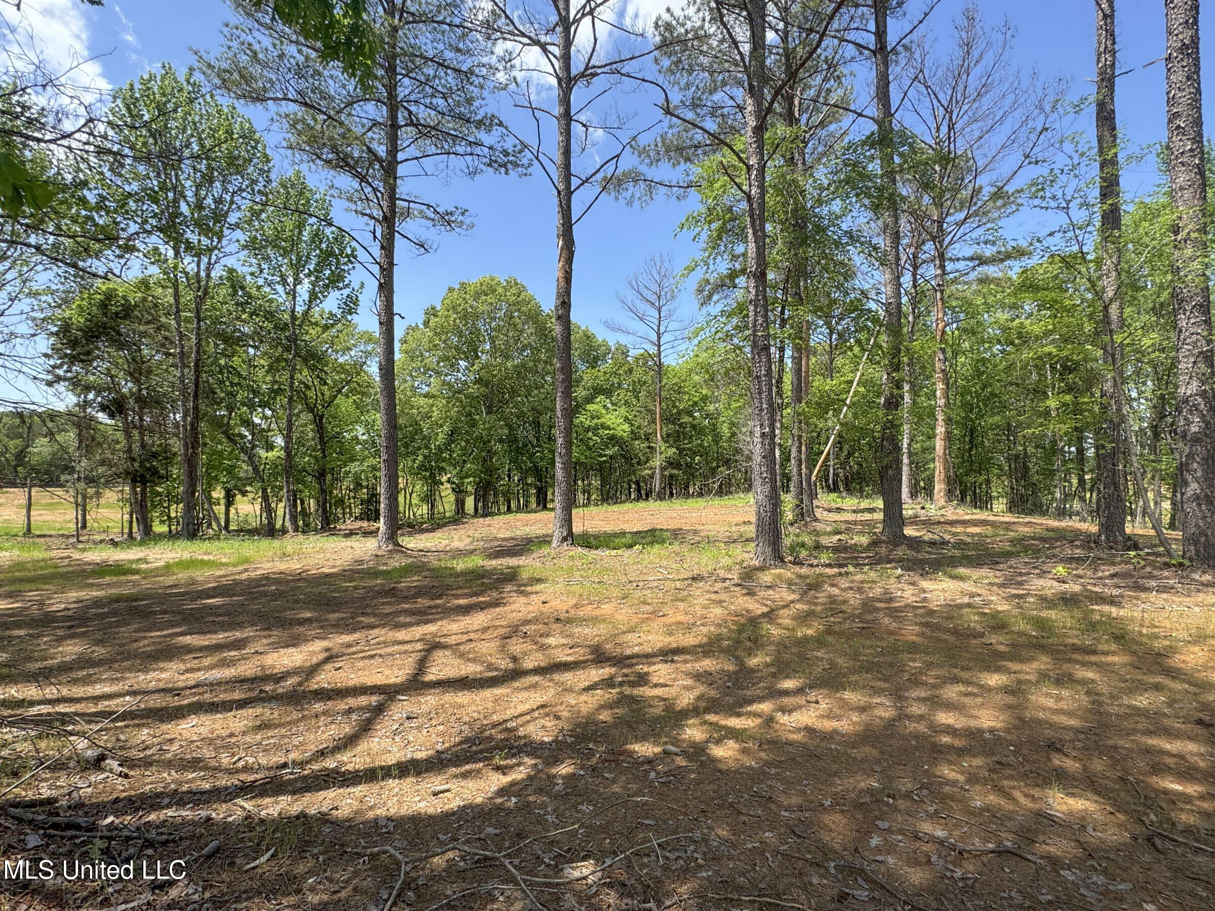 107 County Road Oxford, MS 38655 - Photo 77 of 82 5wr74a28
