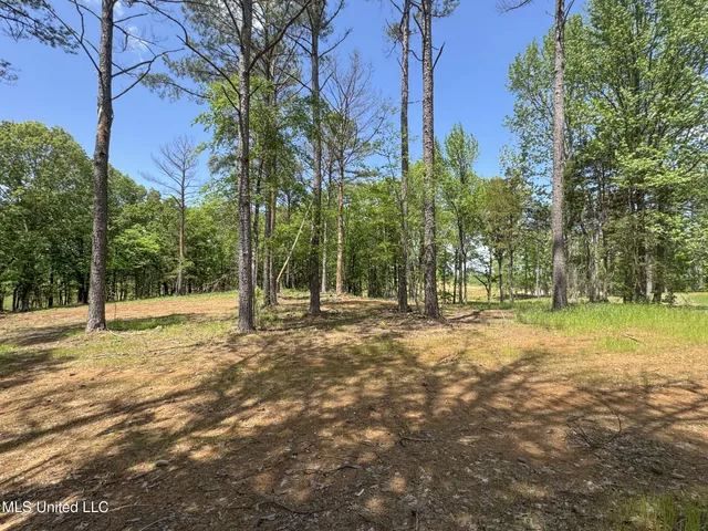 $795,000 | 107 County Road, Oxford, MS 38655