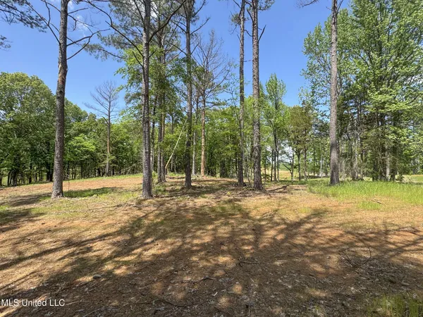 $795,000 | 107 County Road, Oxford, MS 38655