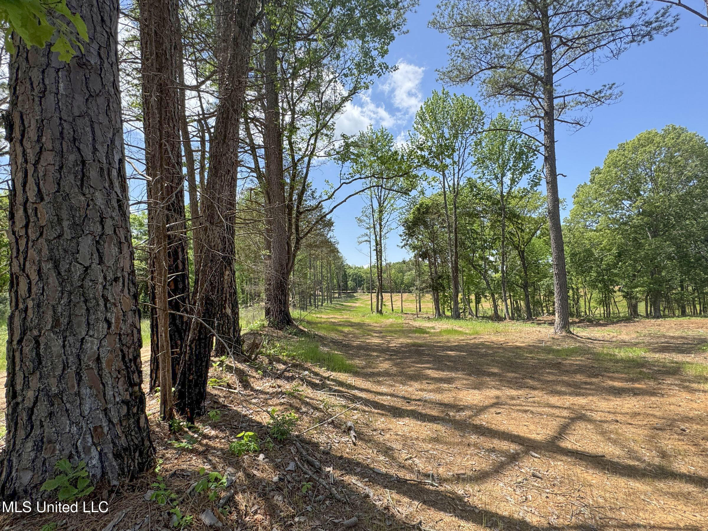 107 County Road Oxford, MS 38655 - Photo 80 of 82 5wr74a31