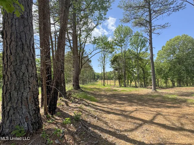 $795,000 | 107 County Road, Oxford, MS 38655