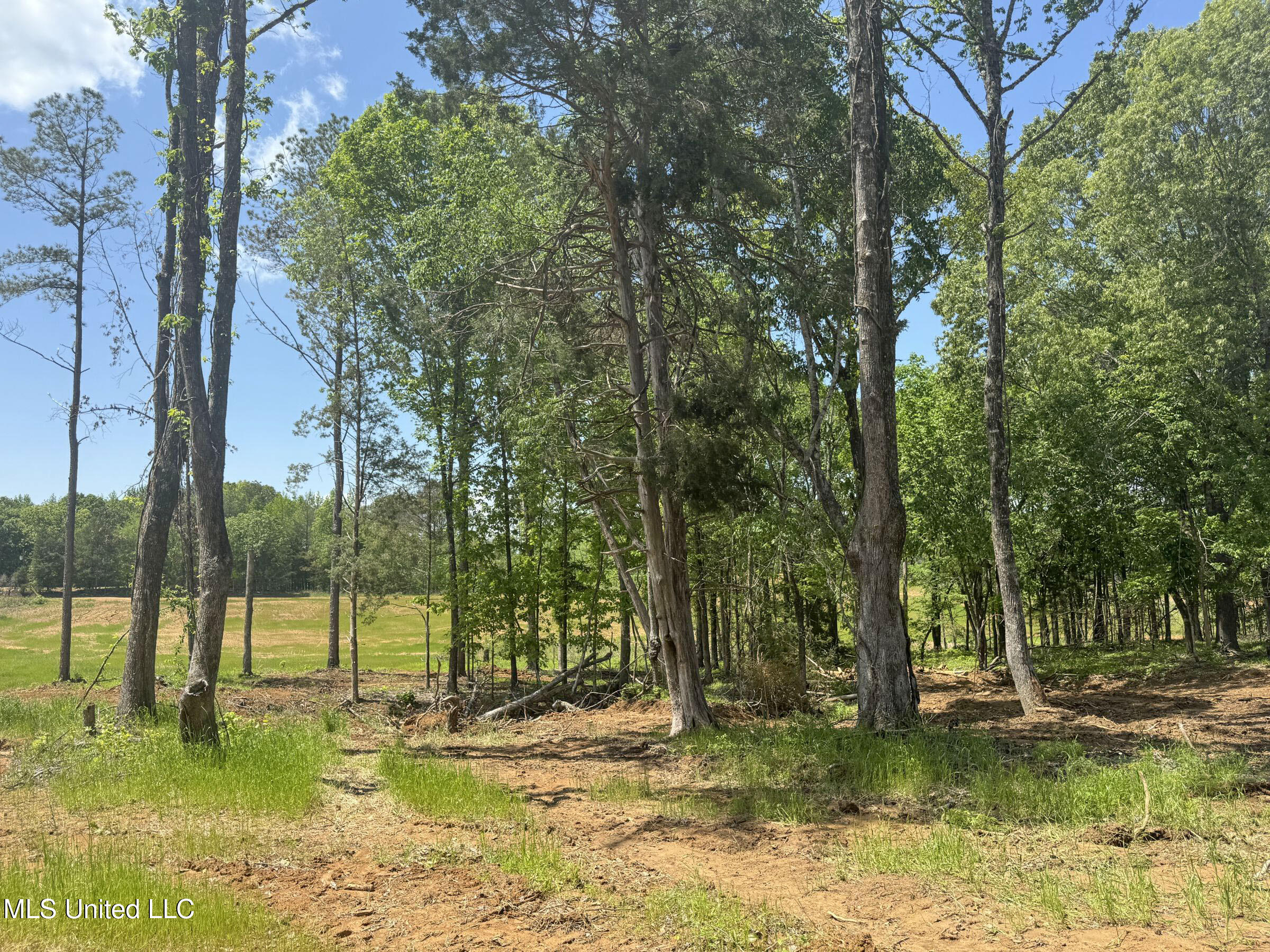 107 County Road Oxford, MS 38655 - Photo 82 of 83 5wr74a32