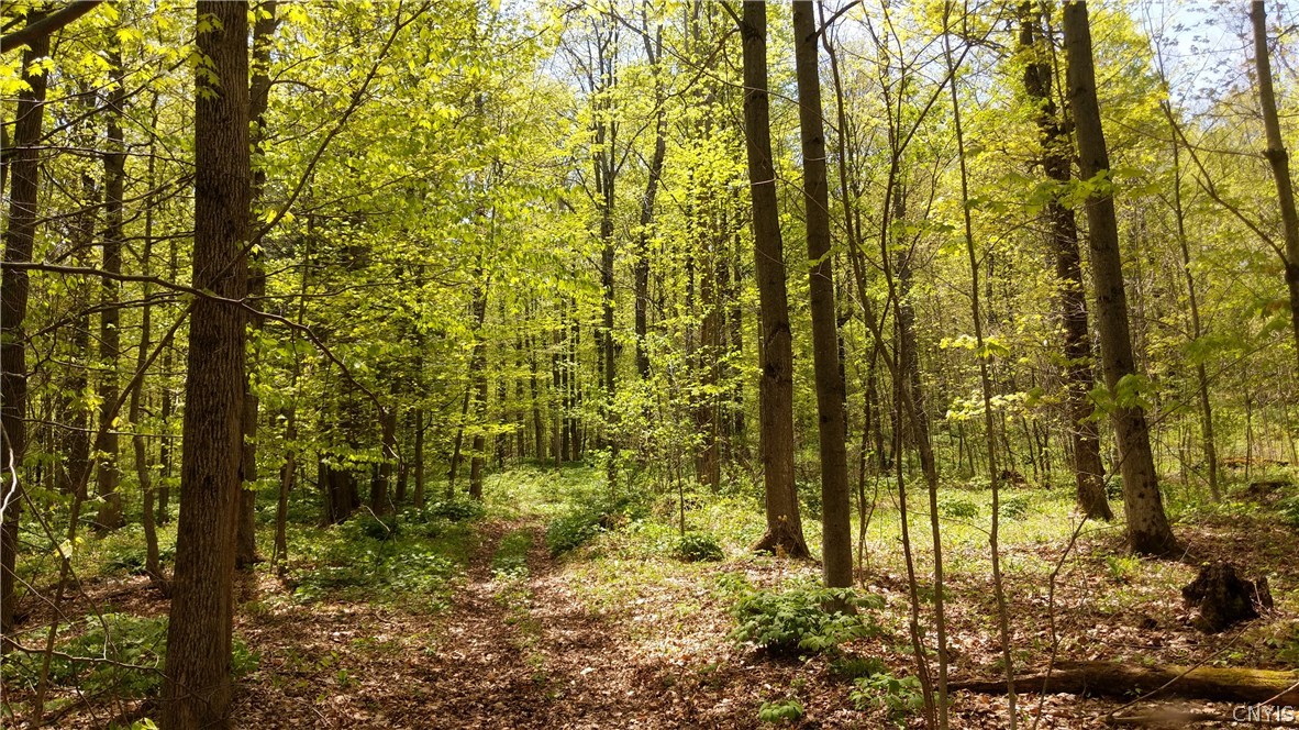 Lot 1-a-1 Lot 1-a-1 Ridge Road Fulton, NY 13069 - Photo 1 of 1 Gallery Image 1