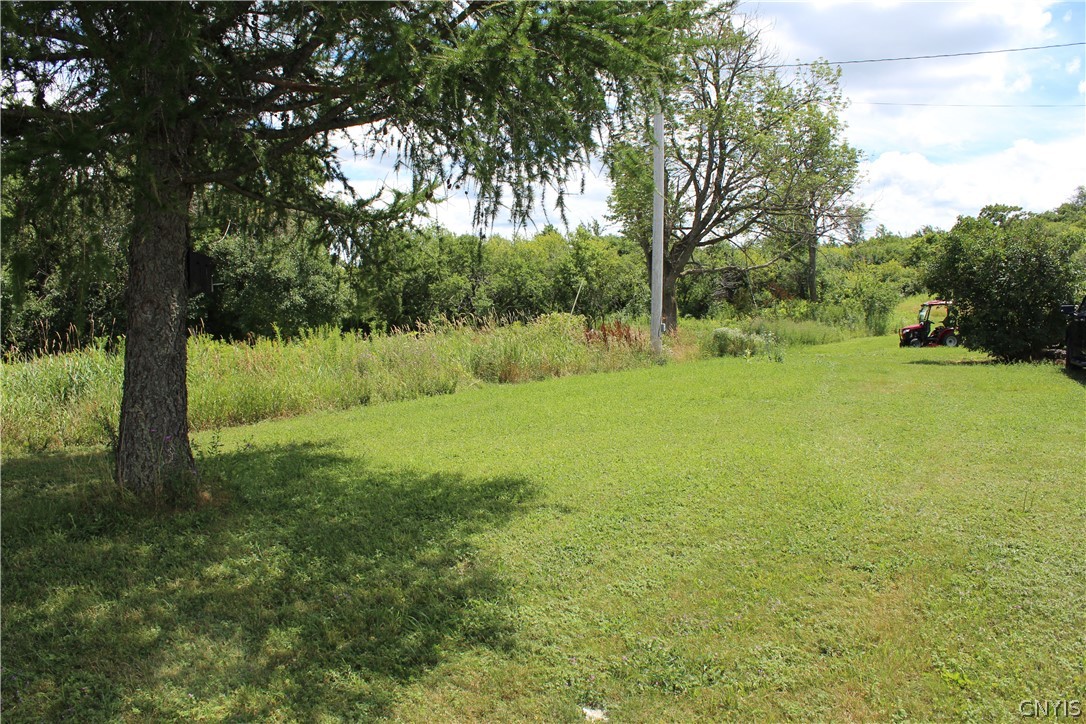 5503 Northrup Road Morrisville, NY 13408 - Photo 23 of 28 No neighbors.