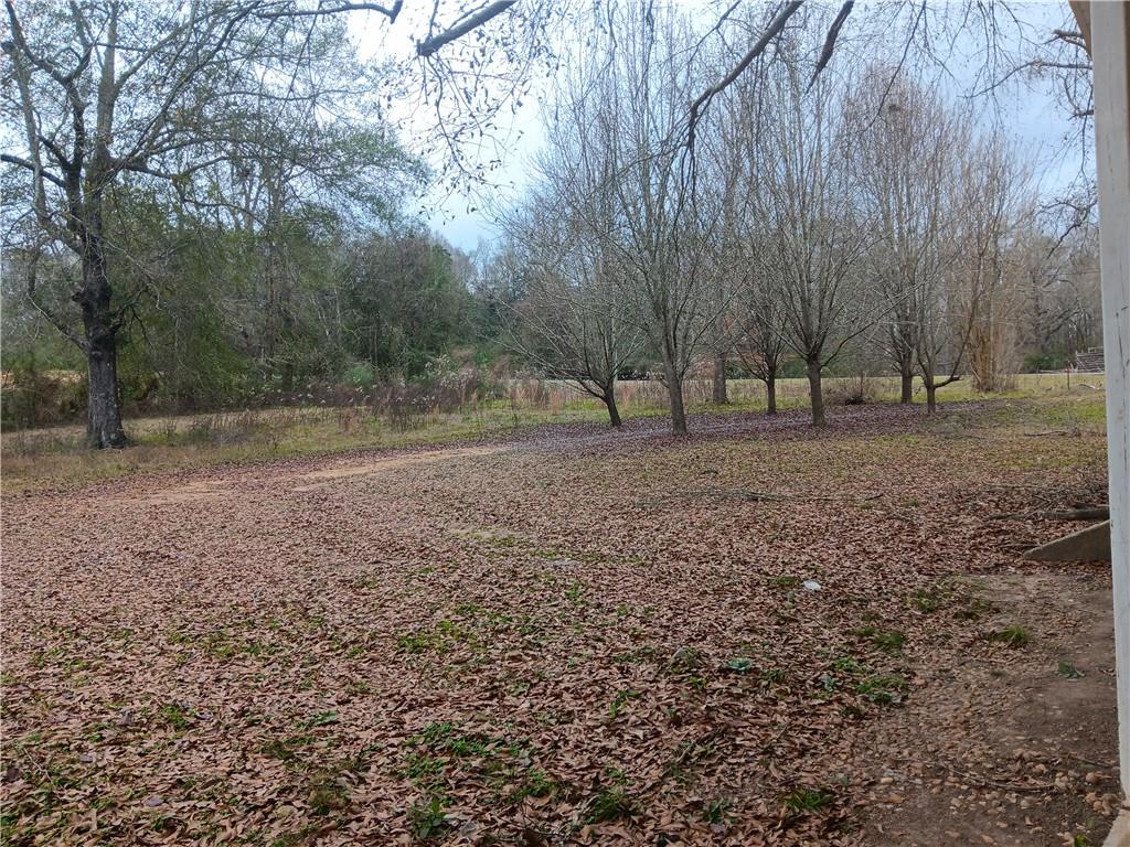 47717 Joby Magee Road Franklinton, LA 70438 - Photo 9 of 52