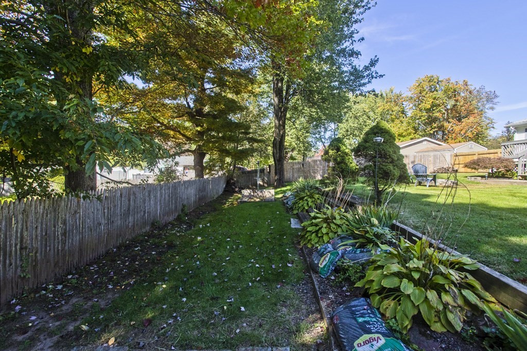 61 Arbor Road Enfield, CT 06082 - Photo 38 of 39 a view of garden with plants and large trees