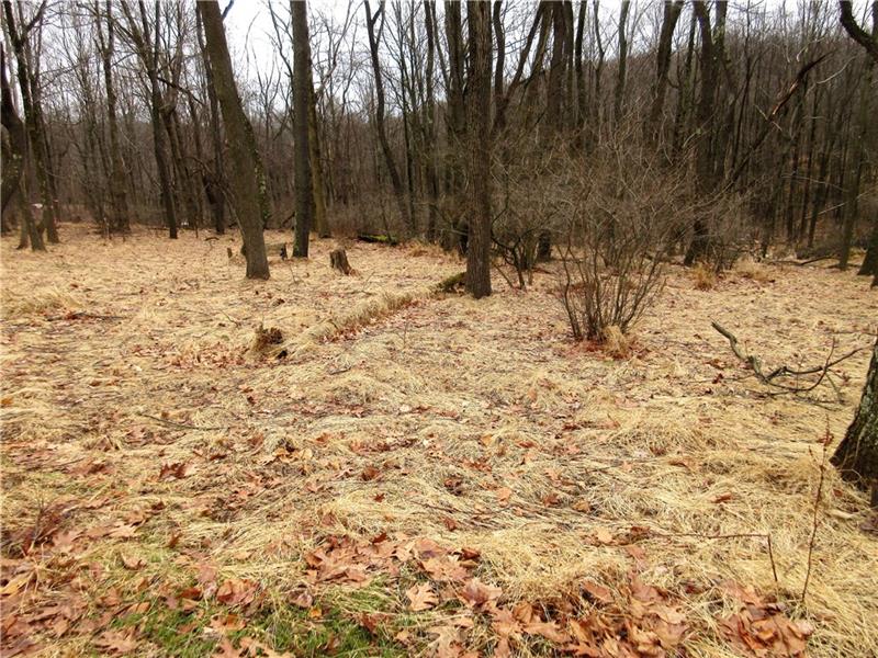 1000 Winfield Road Cabot, PA 16023 - Photo 22 of 24
