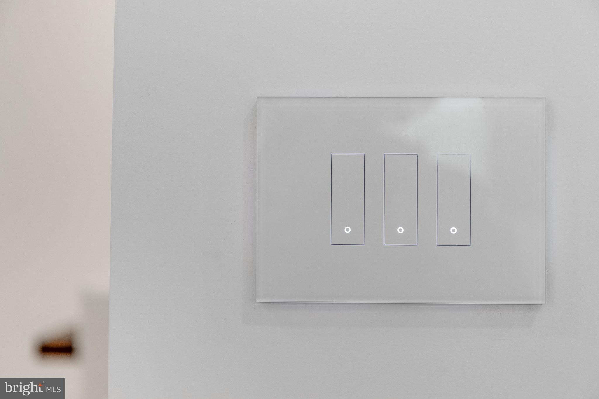 20157 West Piney Grove Road Georgetown, DE 19947 - Photo 24 of 104 IOTTY premium light switches