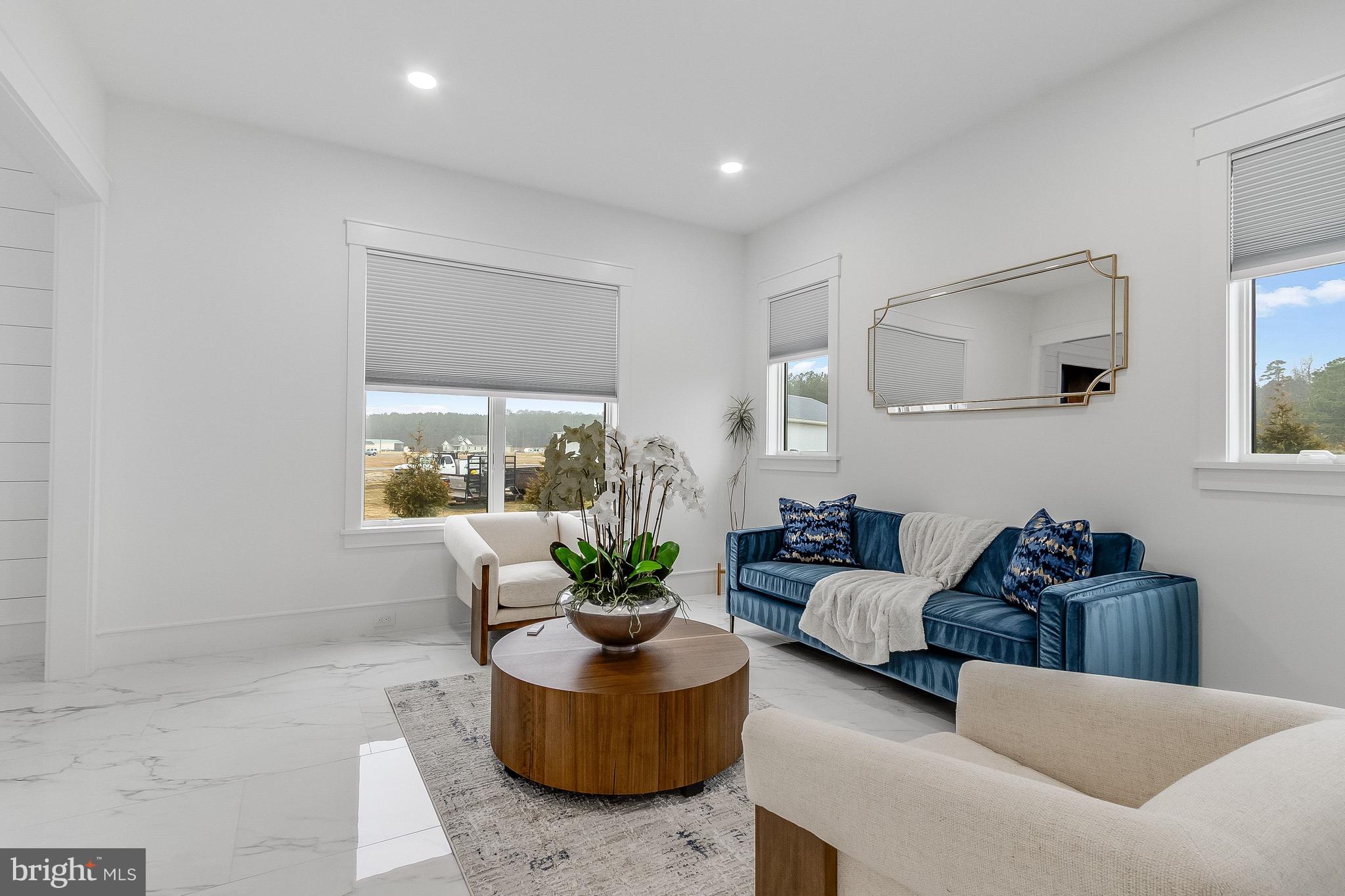 20157 West Piney Grove Road Georgetown, DE 19947 - Photo 38 of 104 a living room with furniture and a potted plant