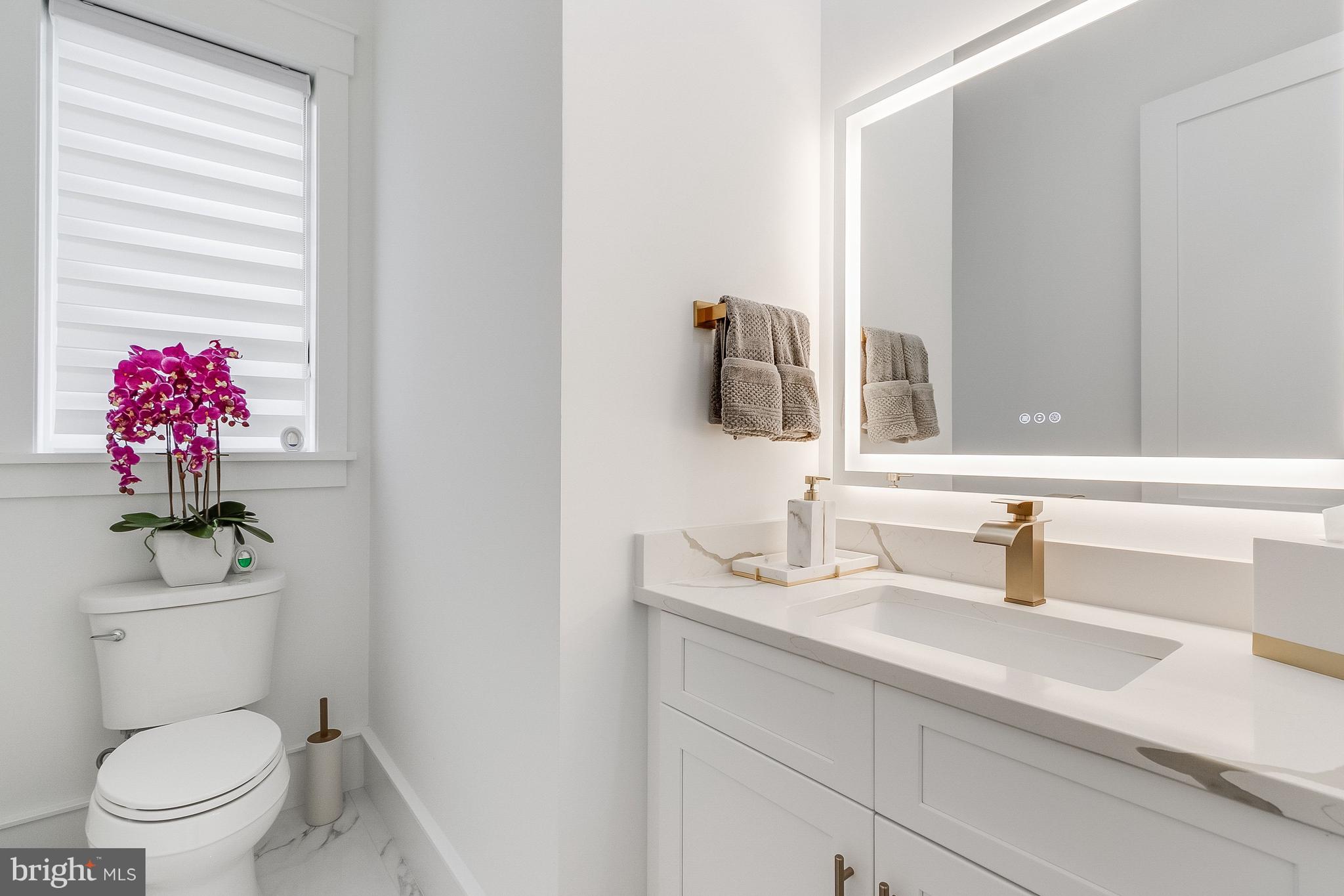 20157 West Piney Grove Road Georgetown, DE 19947 - Photo 39 of 104 a bathroom with a sink vanity mirror and toilet