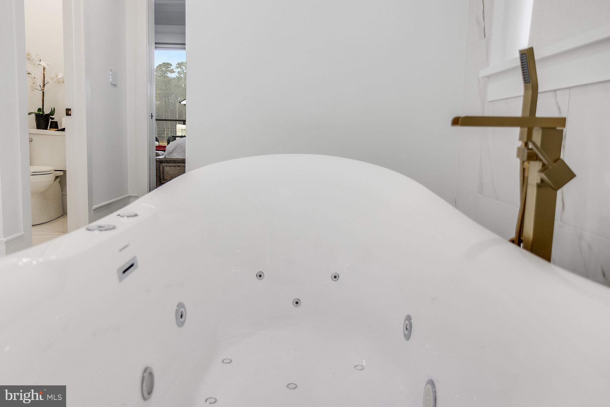 20157 West Piney Grove Road Georgetown, DE 19947 - Photo 56 of 104 Soaking tub