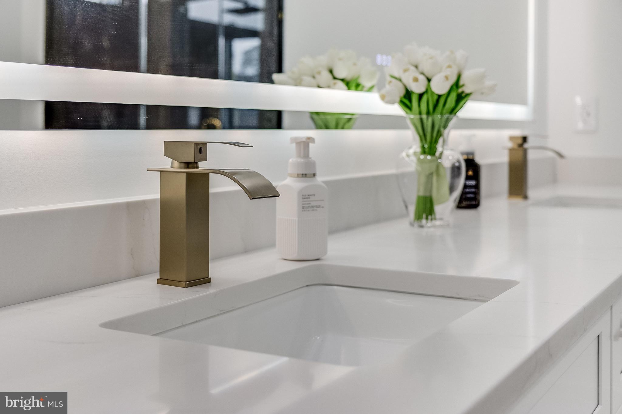 20157 West Piney Grove Road Georgetown, DE 19947 - Photo 59 of 104 a close view of sink