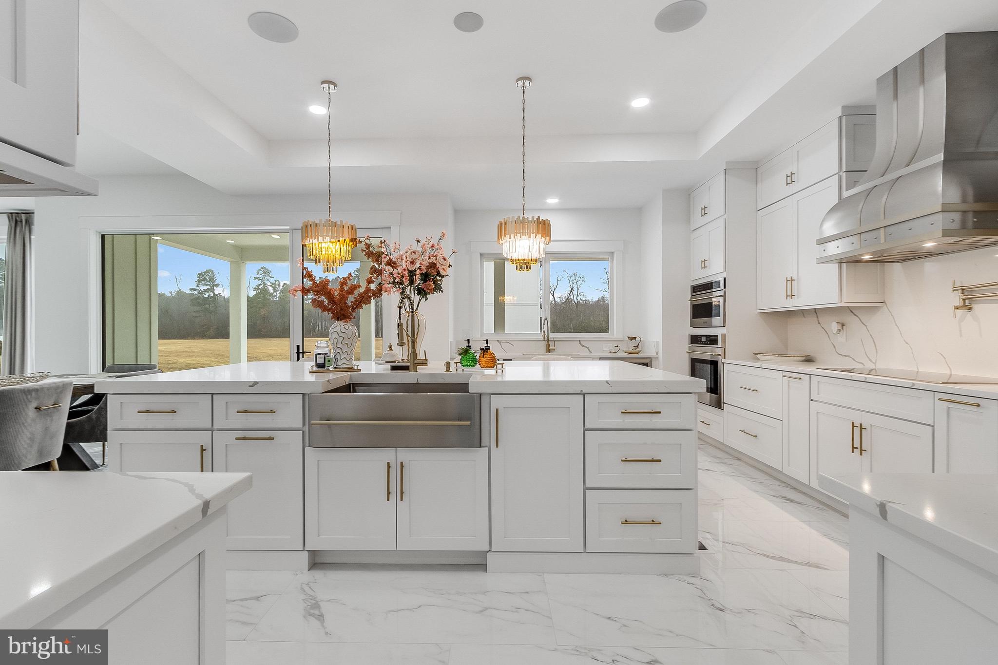 20157 West Piney Grove Road Georgetown, DE 19947 - Photo 8 of 104 Kitchen