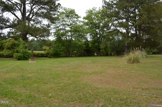 a view of a field with trees in the background