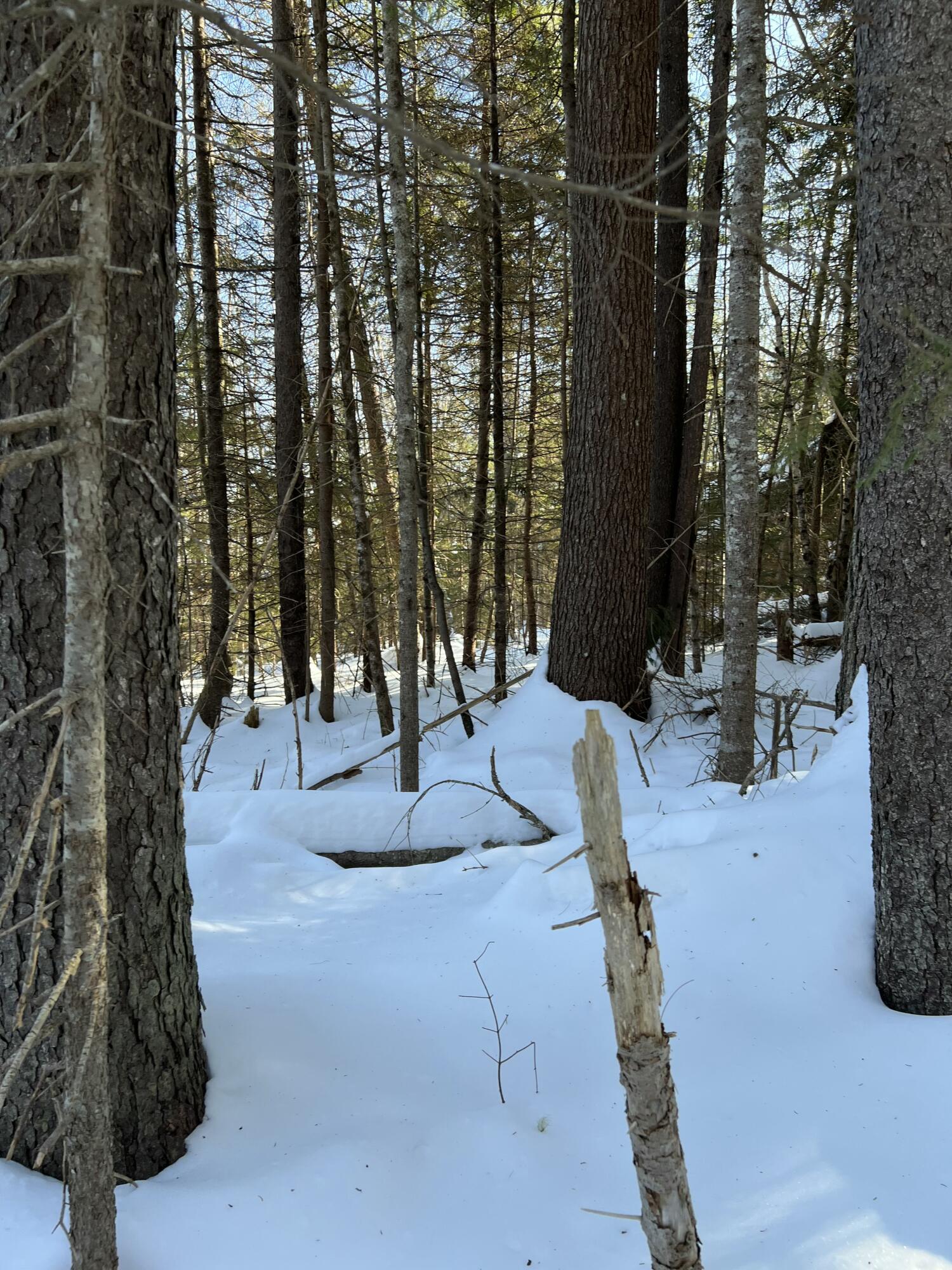 73 Ferry Road Stockton Springs, ME 04981 - Photo 9 of 14 Lot