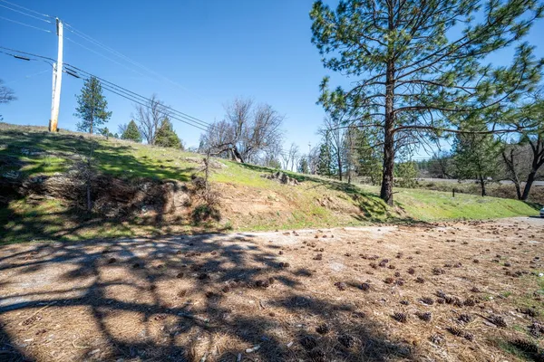 a view of a yard with a tree