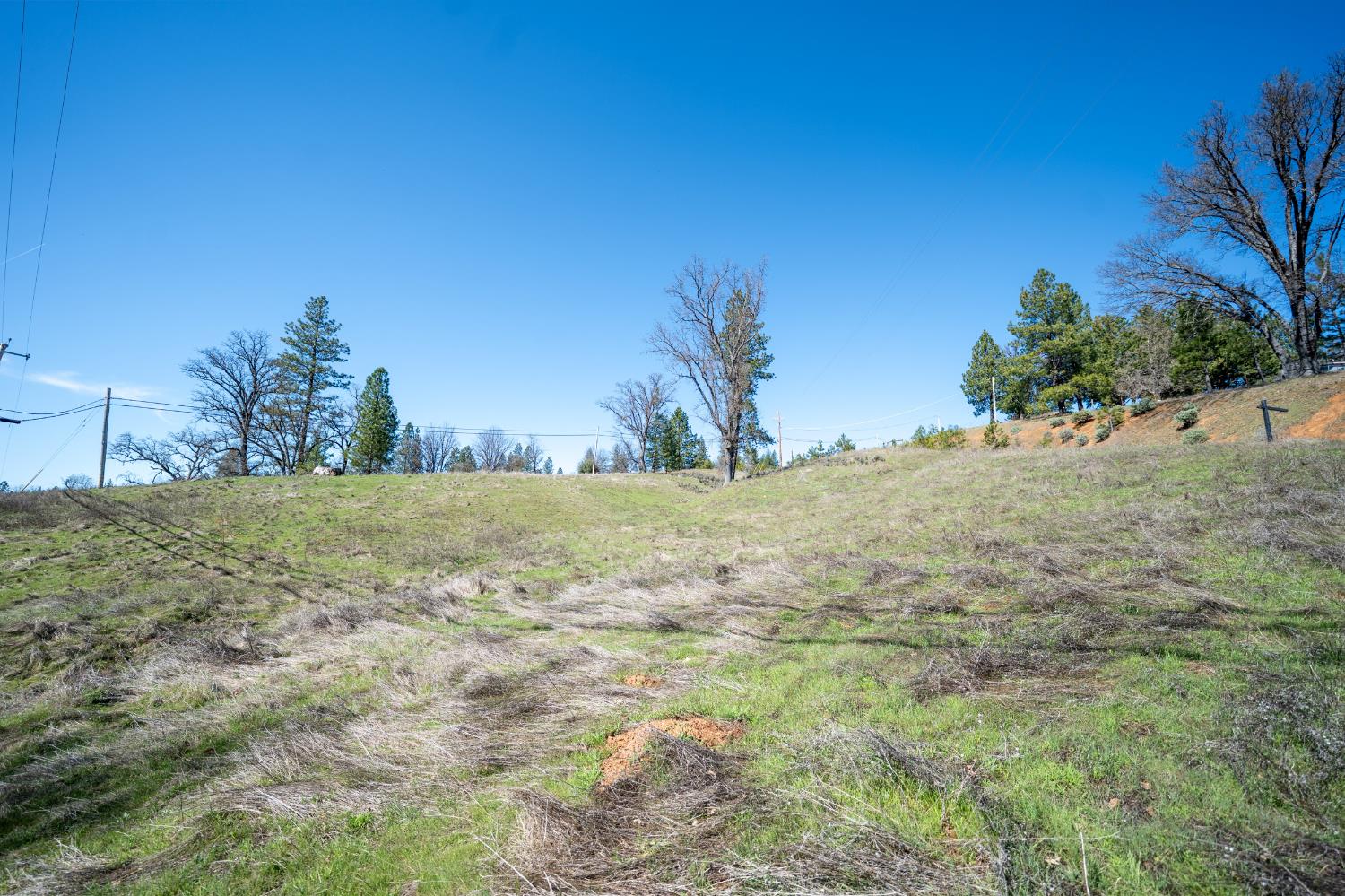 5252 Railroad Flat Road Mountain Ranch, CA 95246 - Photo 9 of 11 a view of swimming pool of grass and trees