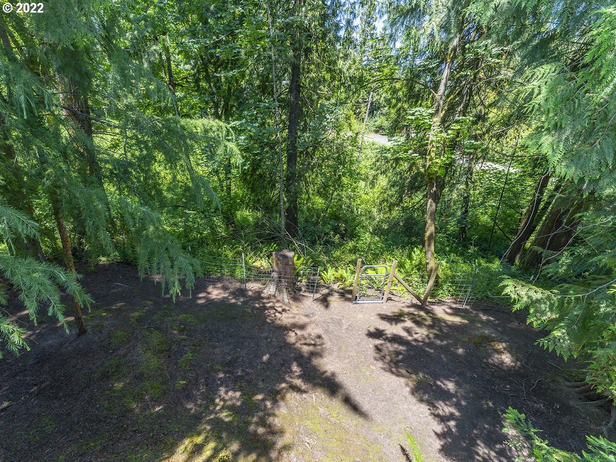 6562 South Zimmerman Road Aurora, OR 97002 - Photo 29 of 31 a big yard with flowing stream of water in middle