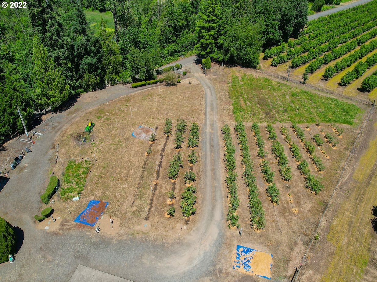 6562 South Zimmerman Road Aurora, OR 97002 - Photo 5 of 31 a view of outdoor space and yard