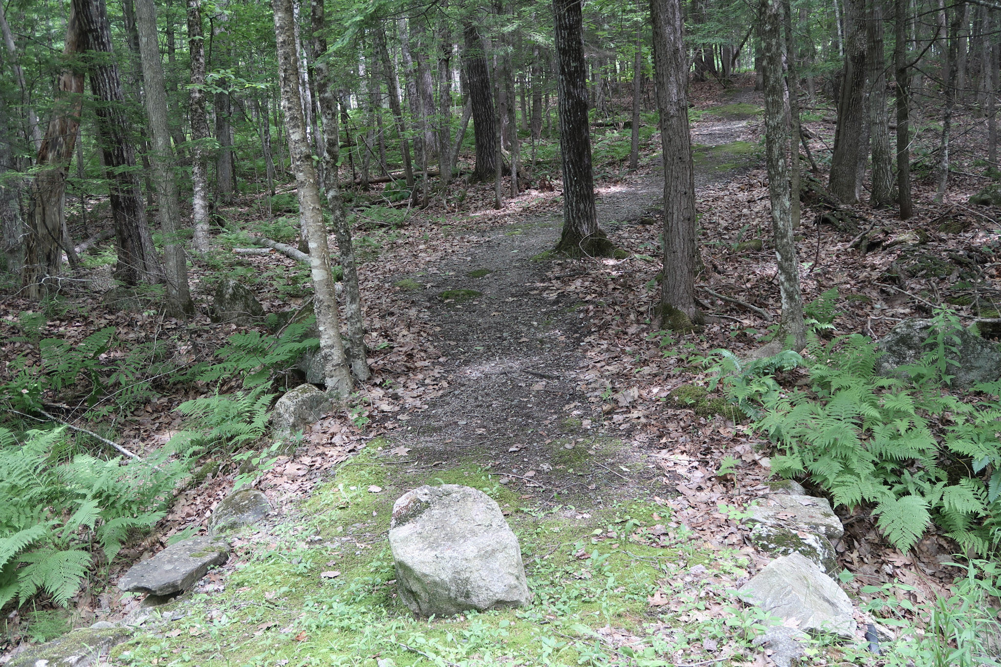 16 Lovejoy Lane Readfield, ME 04355 - Photo 9 of 63