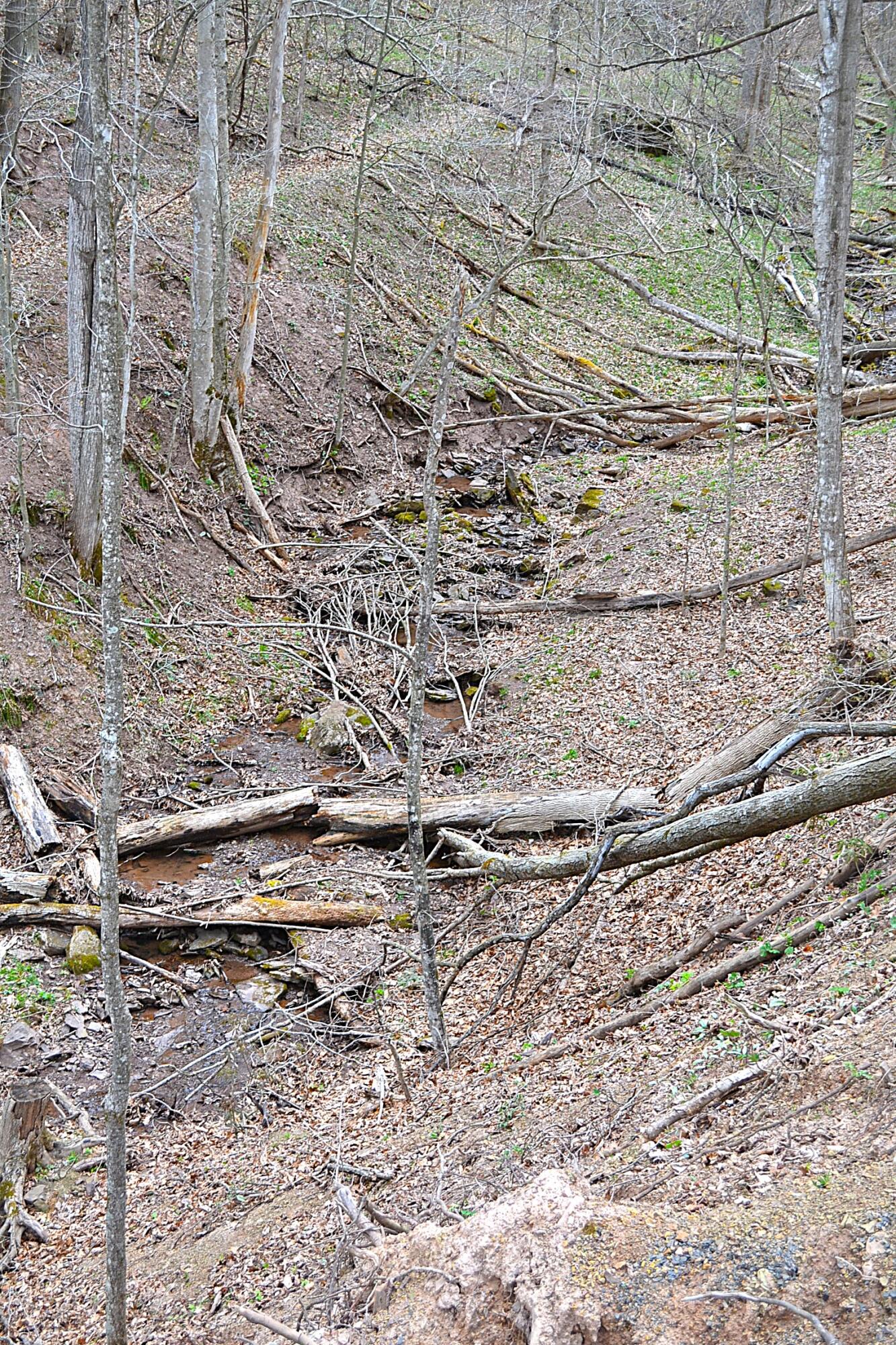 Snake Run Road Alderson, WV 24910 - Photo 19 of 24 Creek View