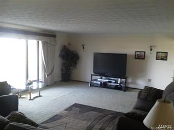 9521 Rakers Road Carlyle, IL 62231 - Photo 11 of 25