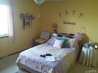 9521 Rakers Road Carlyle, IL 62231 - Photo 8 of 25