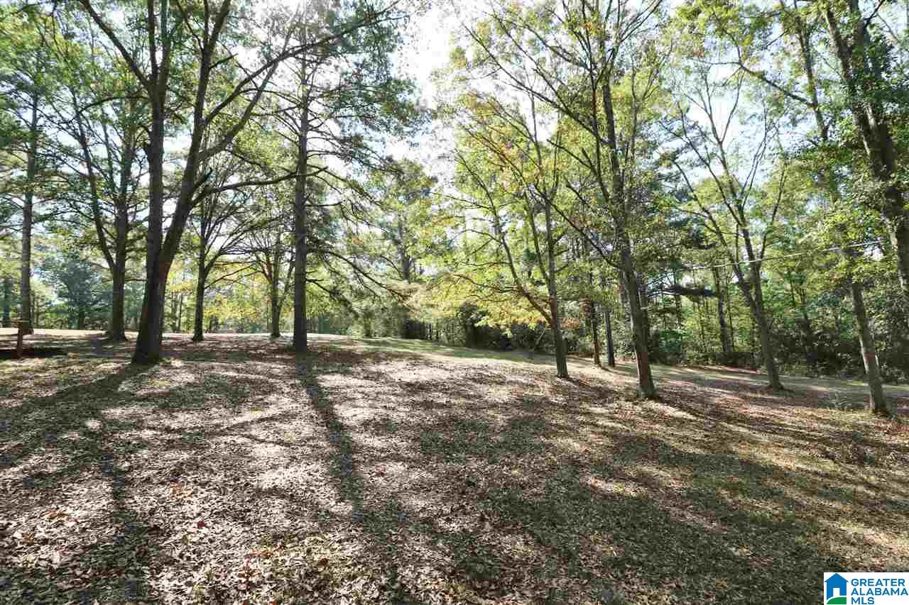 249 Greensport Road Ashville, AL 35953 - Photo 39 of 40