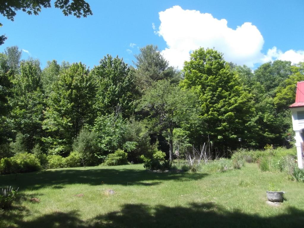 325 Ayers Pond Road Washington, NH 03280 - Photo 19 of 27