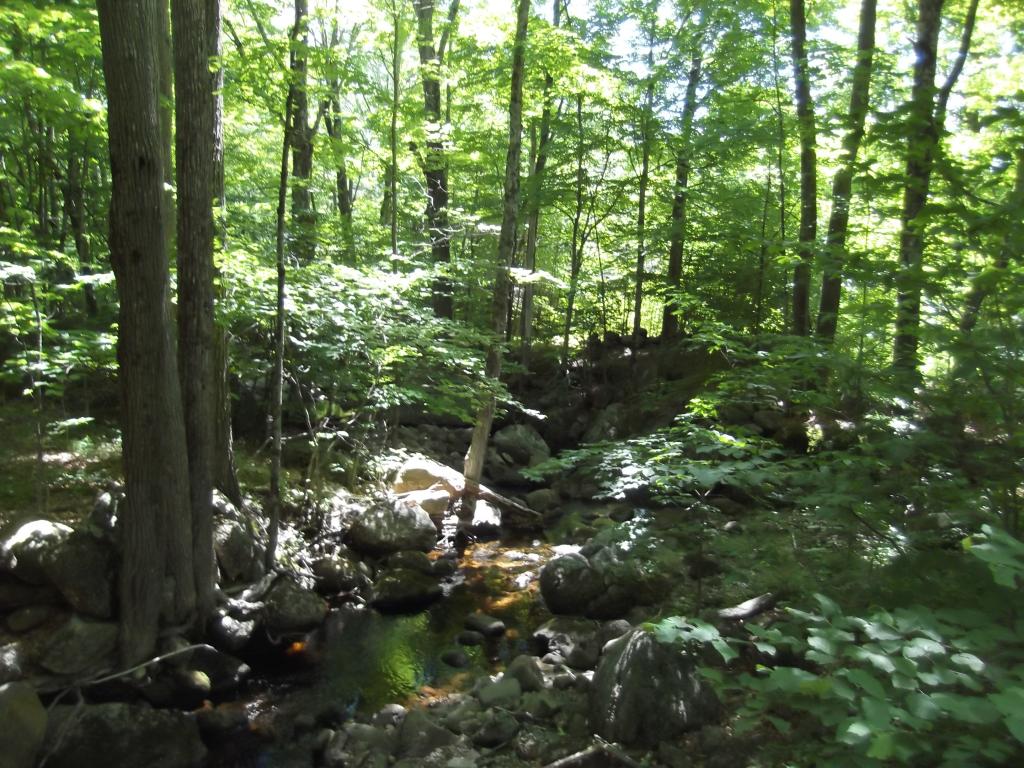 325 Ayers Pond Road Washington, NH 03280 - Photo 20 of 27