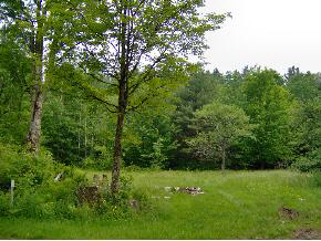 325 Ayers Pond Road Washington, NH 03280 - Photo 23 of 27