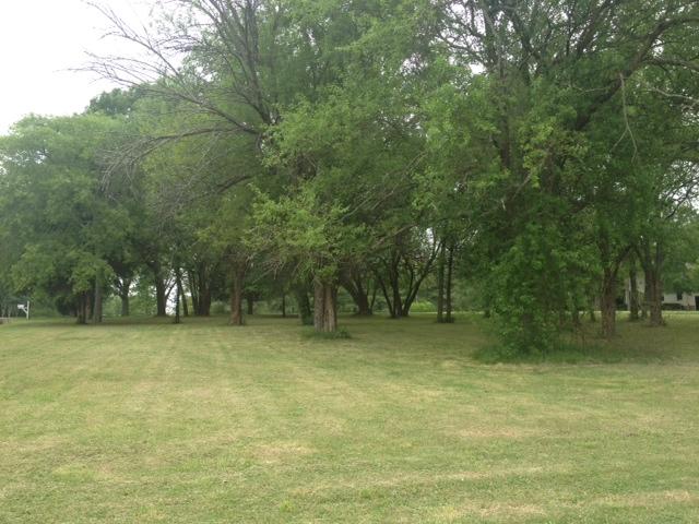 0 Pate Road Franklin, TN 37064 - Photo 1 of 7 a view of a yard with a tree