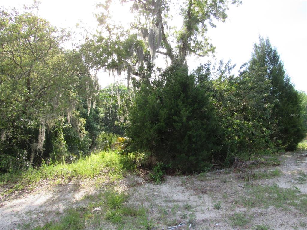 Hicks Hudson, FL 34667 - Photo 1 of 1 Gallery Image 1