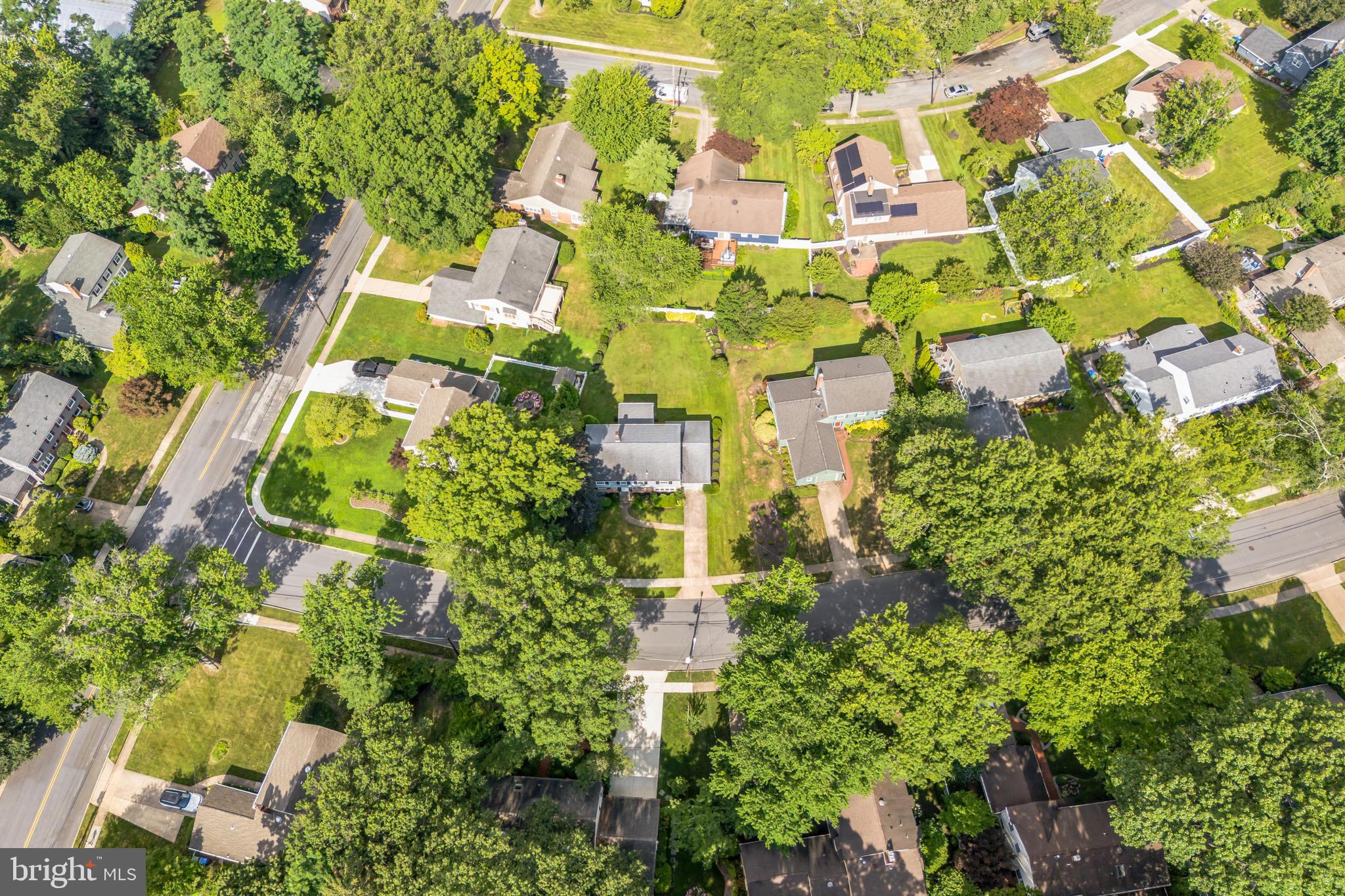 121 Rockingham Road Cherry Hill, NJ 08034 - Photo 32 of 33 a picture of flowers