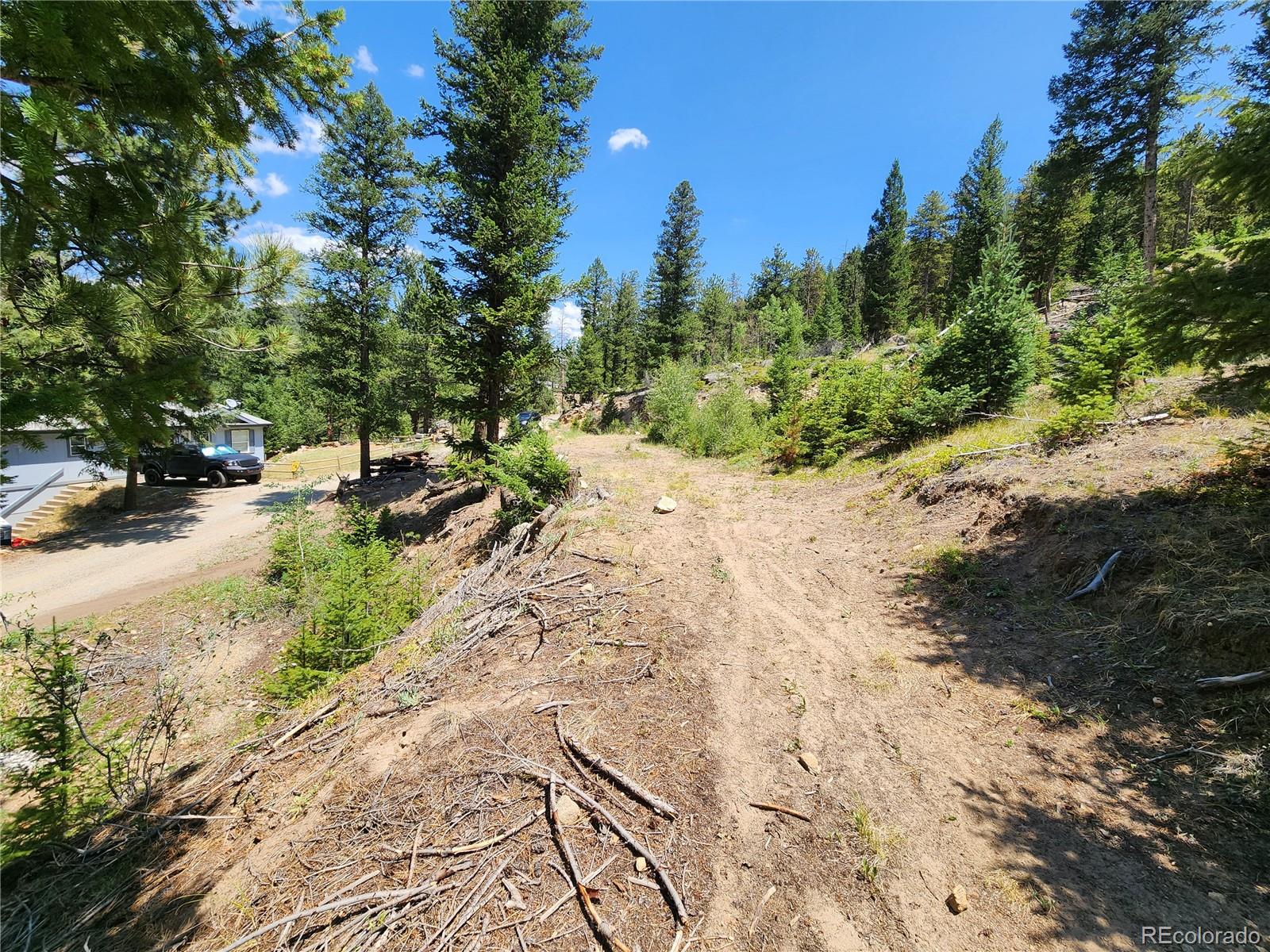 256 Capital Road Dumont, CO 80436 - Photo 6 of 50